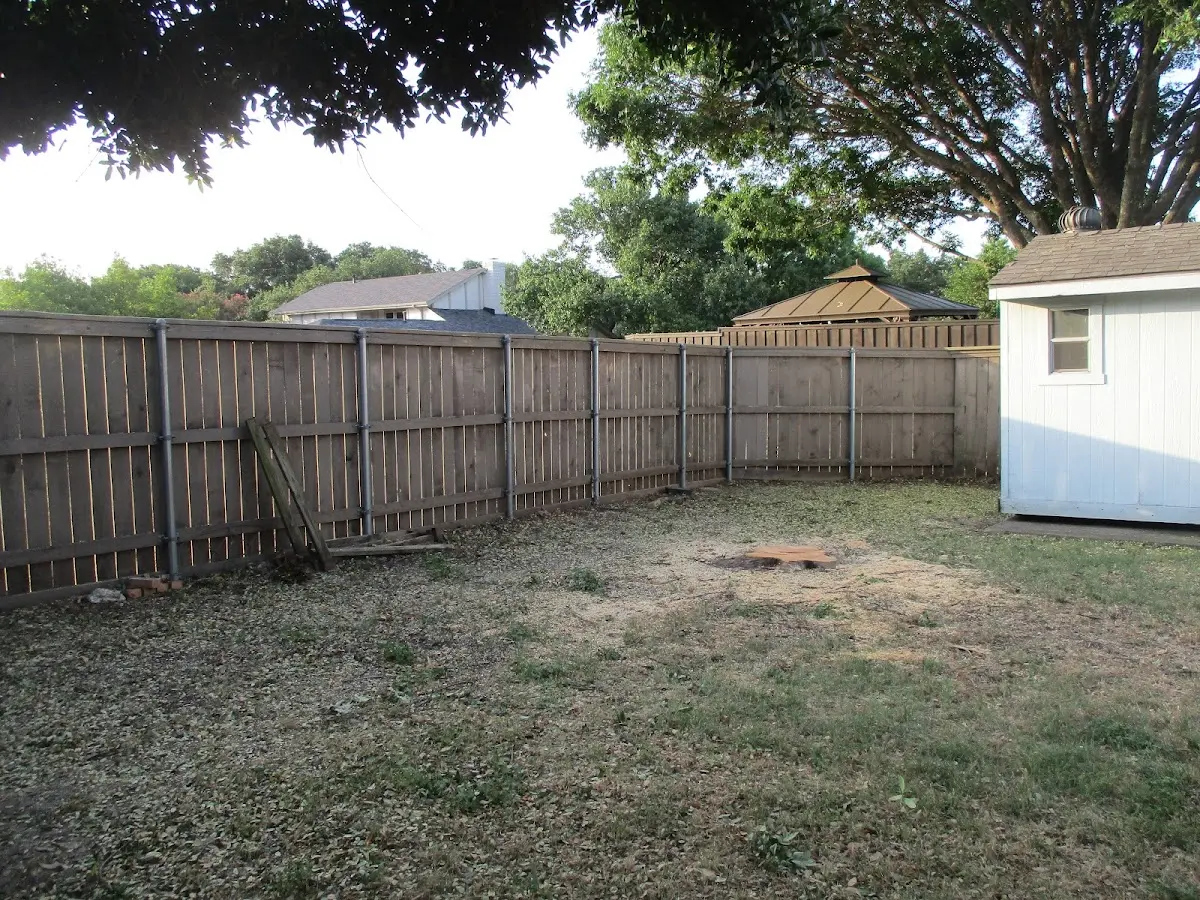 Cleared yard after professional tree removal in Apollo